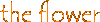 Flower Logo