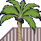 Palm