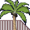 Palm