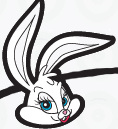 Bunny

