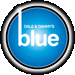 Dale & Dannys Blue Logo